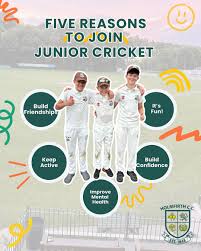 Image result for Holmfirth Cc