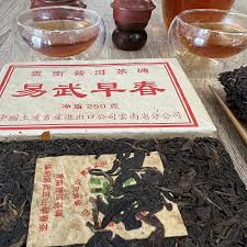 Image result for 2003早春