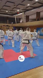 Image result for I T F Taekwondo (Andover)