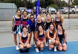 Image result for The Downs Netball Club