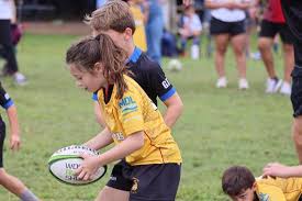 Image result for West Haughton Lions Rugby League Football Club