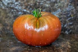 Afbeeldingsresultaat voor CDB tomato