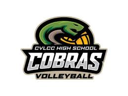 Image result for Chesterfield Cobras Volleyball Club