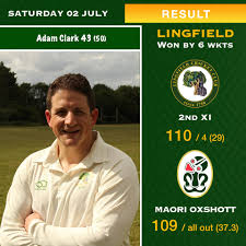 Image result for Lingfield Cricket Club