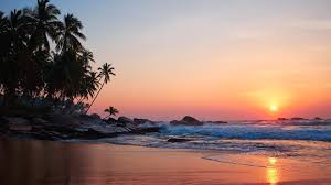 Image result for goa beaches