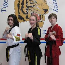 Image result for Kidderminster Tae Kwon Do Tigers