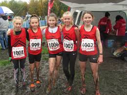 Image result for Bolton United Harriers & Athletics Club