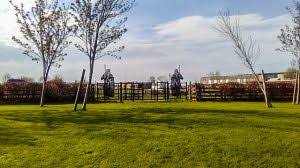 Image result for Castle Cary Cc