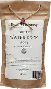 Attēlu rezultāti vaicājumam “Rumex hydrolapathum fruit”