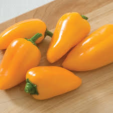 Afbeeldingsresultaat voor baby yellow sweet pepper