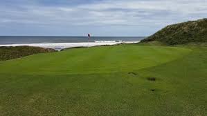 Image result for Hartlepool Gc