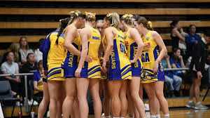 Image result for Newdigate Netball Club