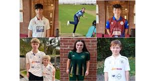 Image result for Shepherdswell Cricket Club
