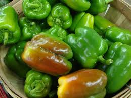 Afbeeldingsresultaat voor yolo wonder sweet pepper