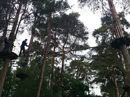 Image result for The Go Ape Experience (Delamere Forest)