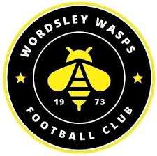 Image result for Wasps Football Club