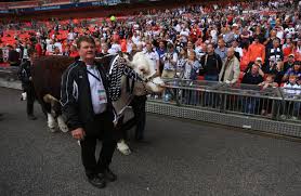 Image result for The Millers Mile Coracle Club