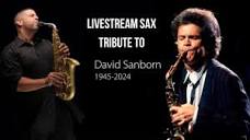 David Sanborn Sax Tribute | Gabriel Bello Music - YouTube
