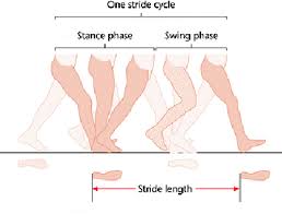 Image result for STRIDE Walking Club