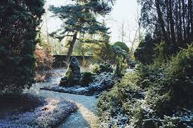 Image result for Arboretum Trompenburg