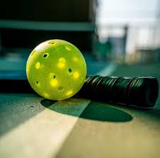 Image result for Dorset Pickleball Club