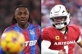 Image result for Ipswich Cardinals American Football Club