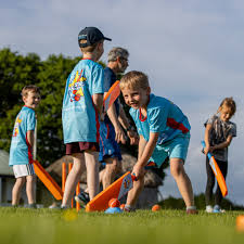 Image result for Chulmleigh & Mid Devon Cricket Club