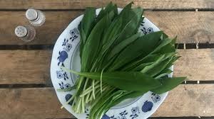 Image result for Bärlauch