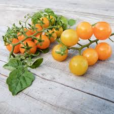 Afbeeldingsresultaat voor broad ripple yellow currant tomato