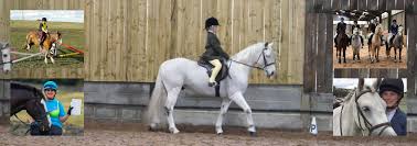 Image result for Peebles & District Riding Club