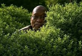 Image result for Caversham Trent Football Club