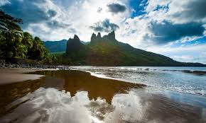 Attēlu rezultāti vaicājumam “Aranei exuvia”