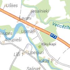 Attēlu rezultāti vaicājumam “Rhabdophaga rosaria”