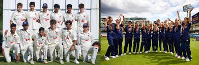 Image result for Three Bridges Cricket Club