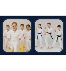 Image result for Ipswich Judo Club