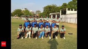 Image result for High Easter Cricket Club