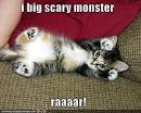 Direct Picture Url: Page Url:
