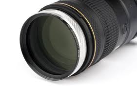 Attēlu rezultāti vaicājumam “Licea minima macro”