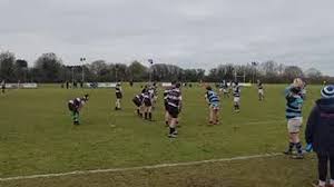 Image result for Witham Rugby Club Ltd