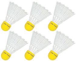 Image result for Carlton Badminton Club