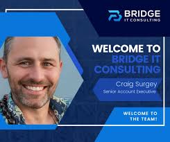 Image result for Bridge It
