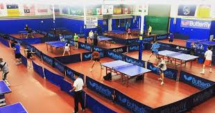 Image result for Temple Bar Table Tennis Club