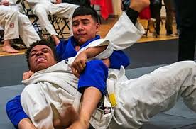 Image result for Southend Judo Club