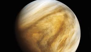 Image result for venus