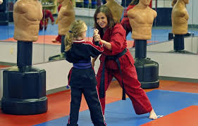 Image result for Vision Martial Arts