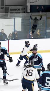 Image result for Lichfield Hockey Club