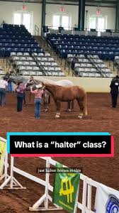 Image result for Carman Stables Archery