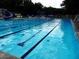 Image result for Calverton Swimming Club