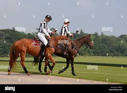 Image result for Cirencester Park Polo Club
