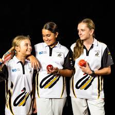 Image result for Swanage Cricket Club